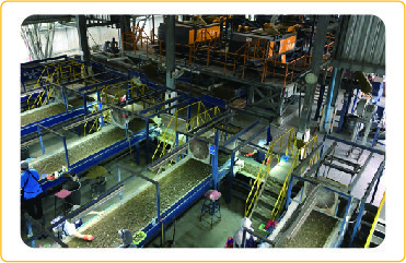 scrap glass clean up solution in Thailand to used to purification of glass cullet